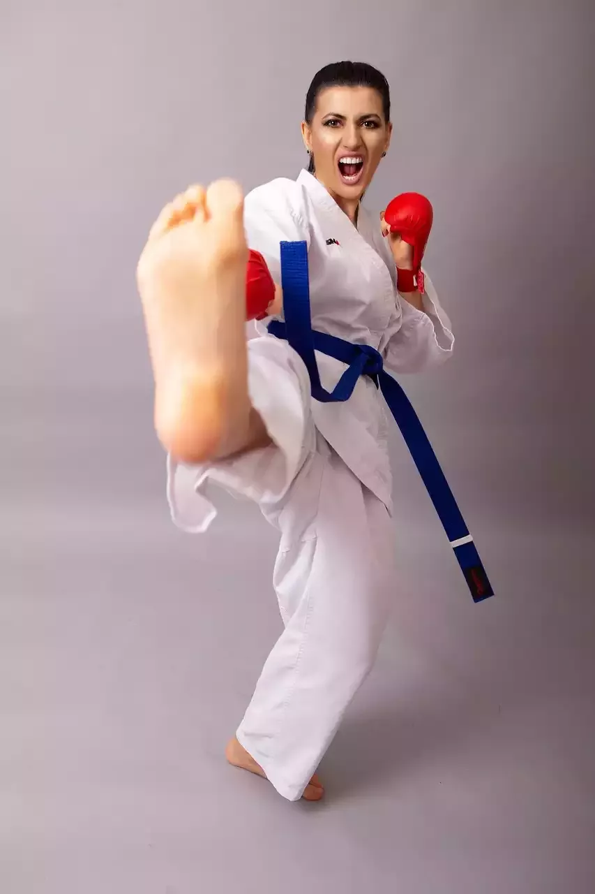 טורנירי הקראטה הגדולים בעולם